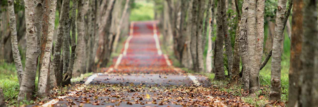 International Air freight